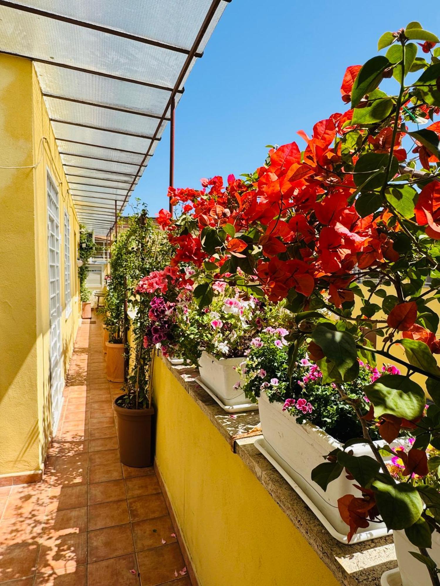 Otranto 36 Διαμέρισμα Ρώμη Εξωτερικό φωτογραφία